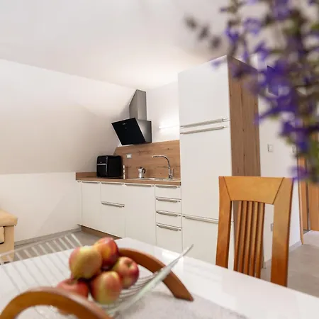 Pri Dopivcu Apartment Log pod Mangartom