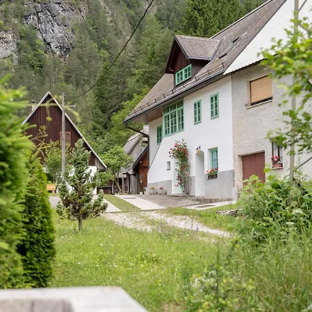 Pri Dopivcu Apartment